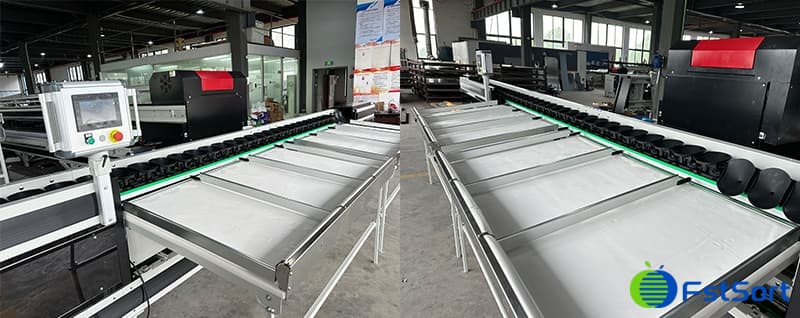 Cantaloupe weight sorter.jpg Cantaloupe weight sorter.jpg